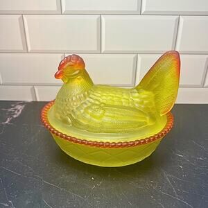 Satin Marigold Hen on Nest *Glows*